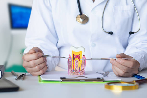Best Mobile Emergency Dentist in Celina, TN